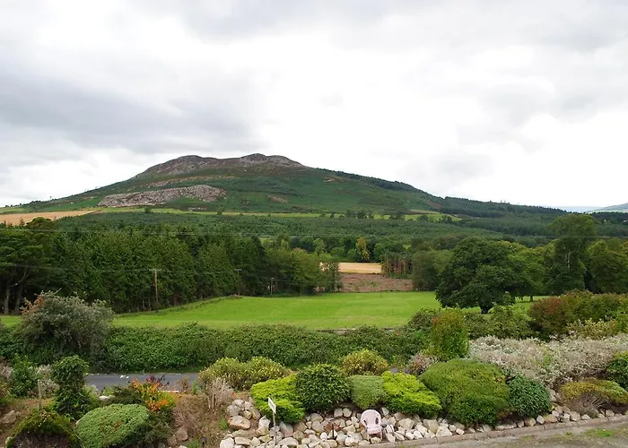 Oda ve Kahvaltı Hillview Bray